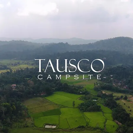 Tausco Homestay & Campsite - Coorg Madikeri Exterior photo