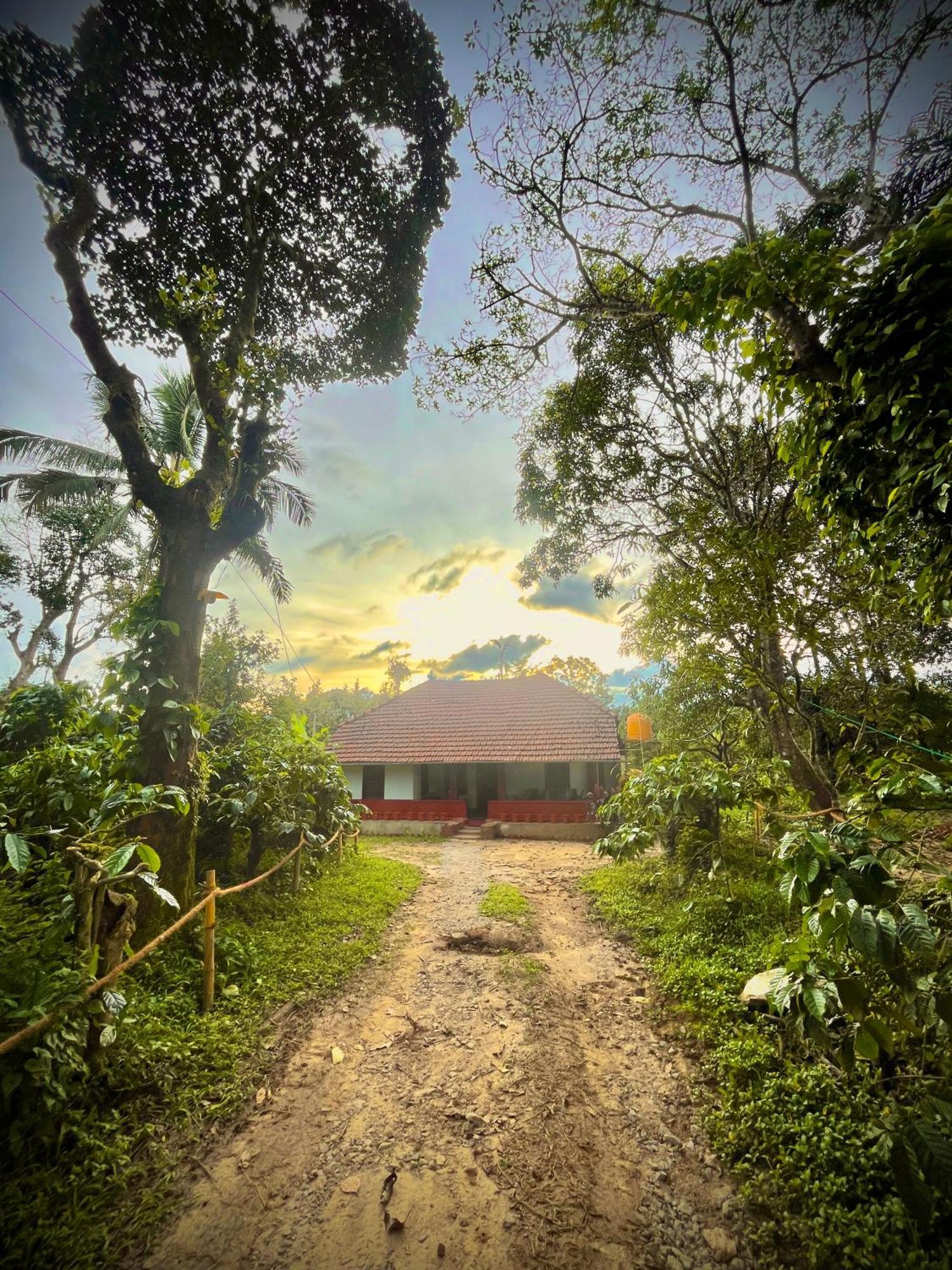 Tausco & - Coorg Campsite
