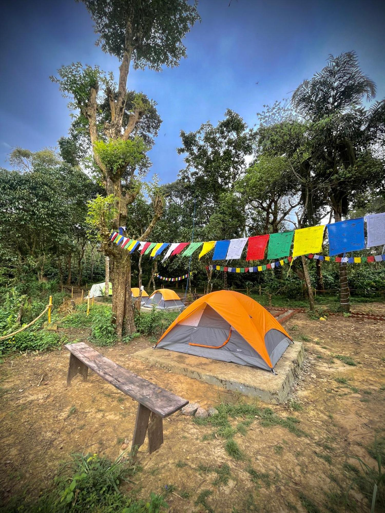 Tausco & - Coorg *