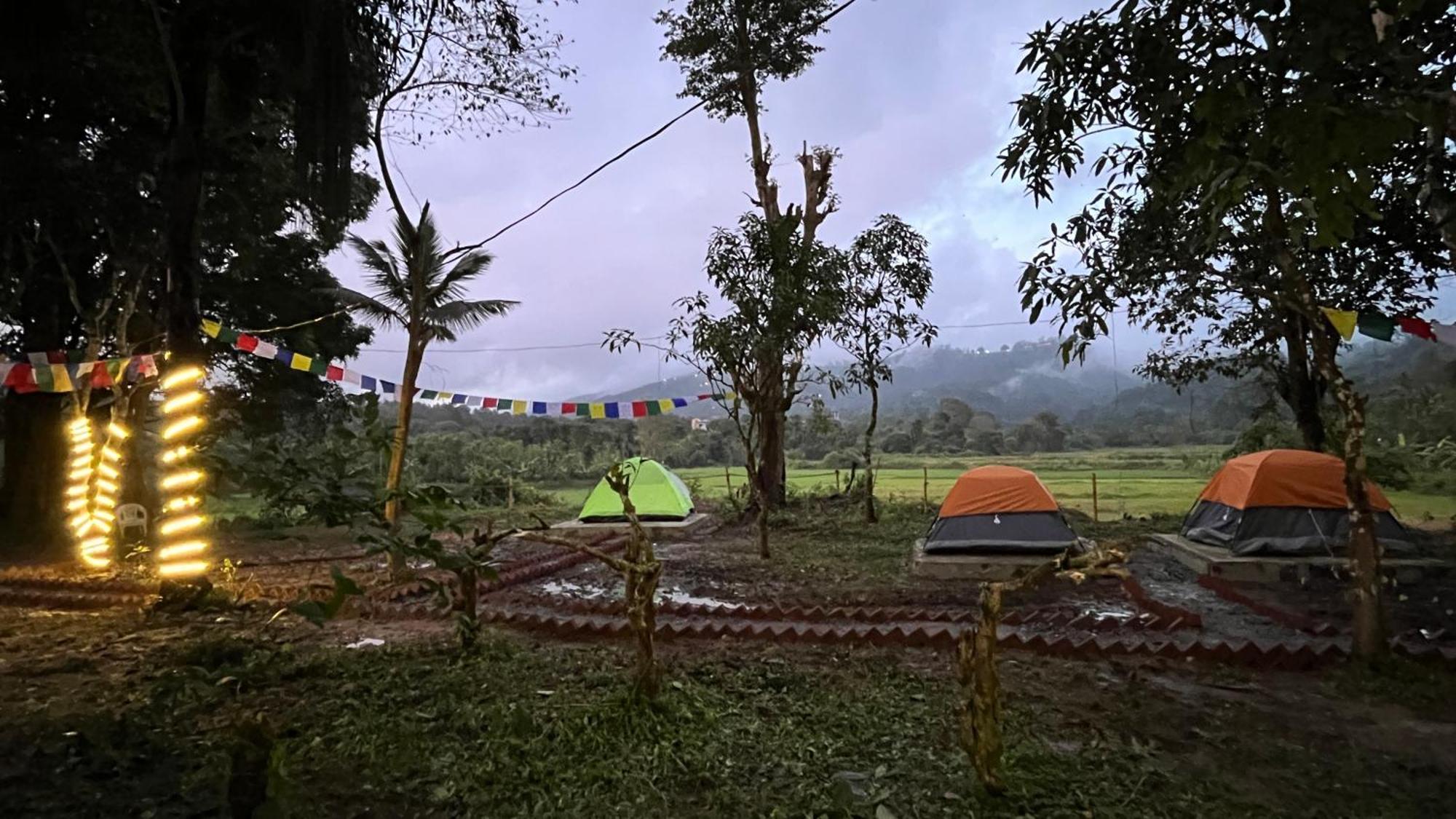 Tausco & - Coorg *