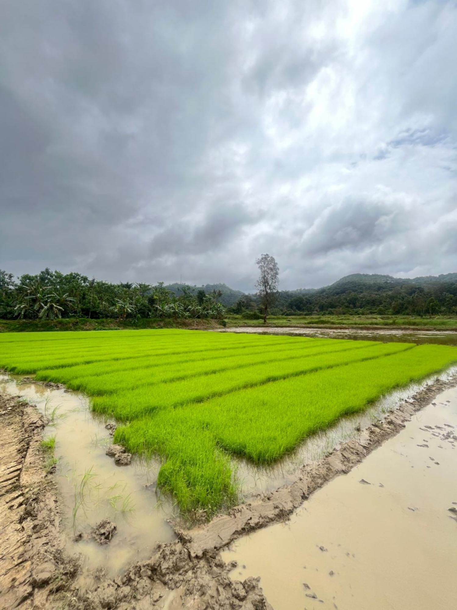 Tausco & - Coorg Madikeri