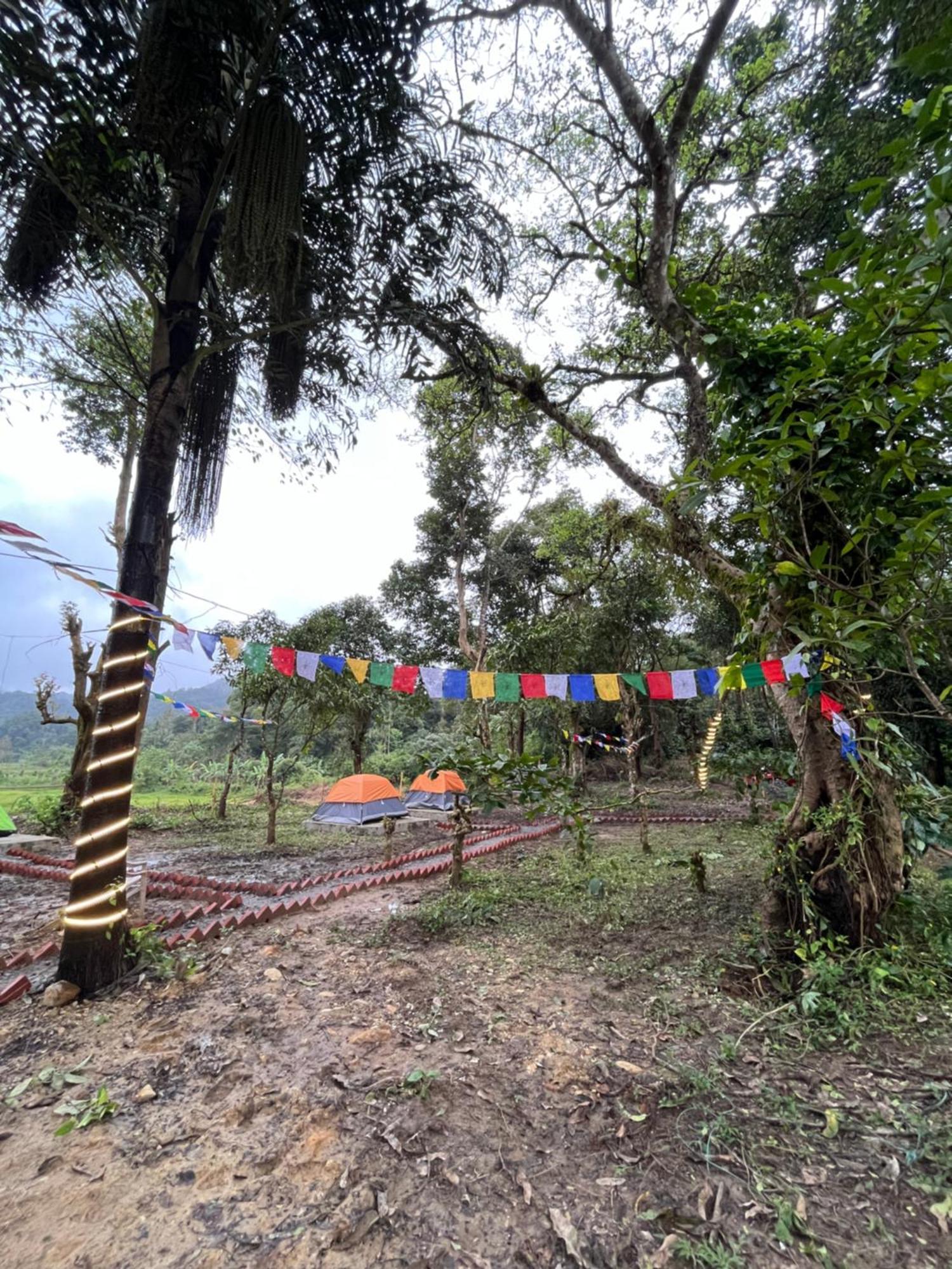 Campsite Tausco & - Coorg