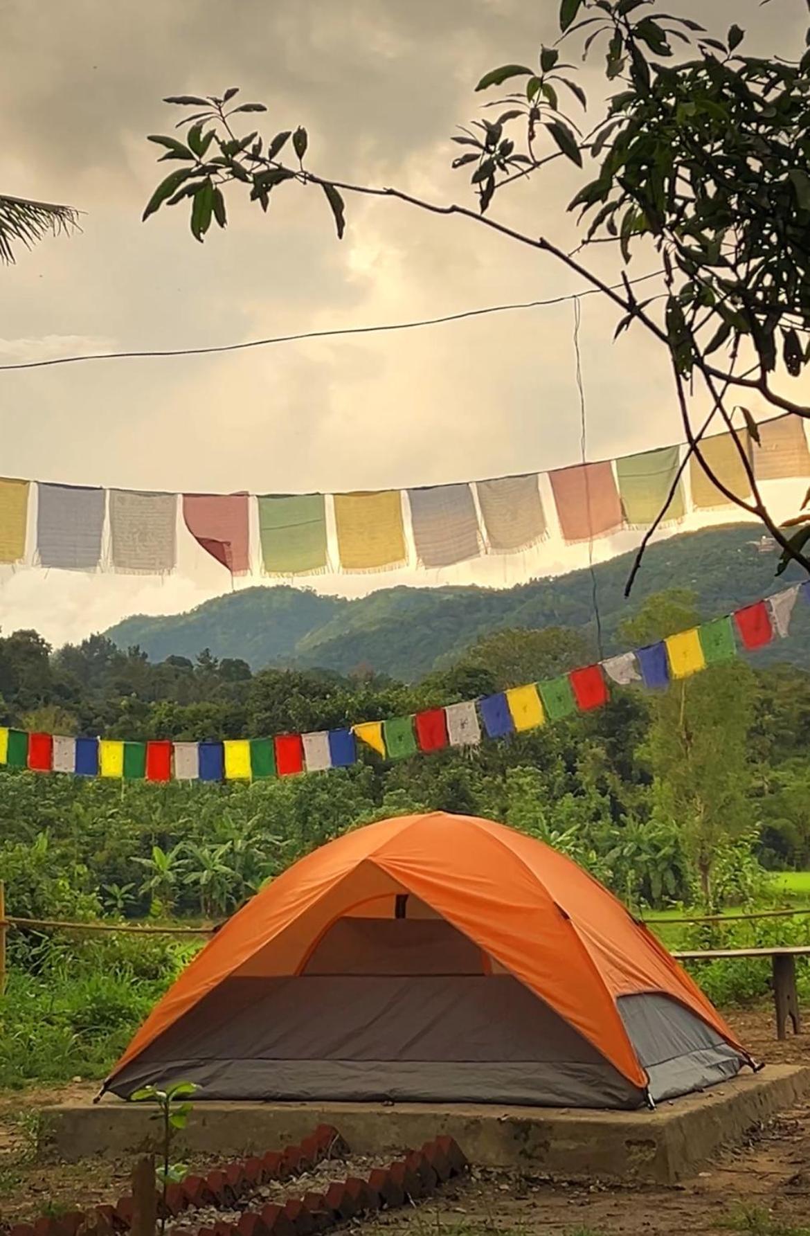 Tausco & - Coorg