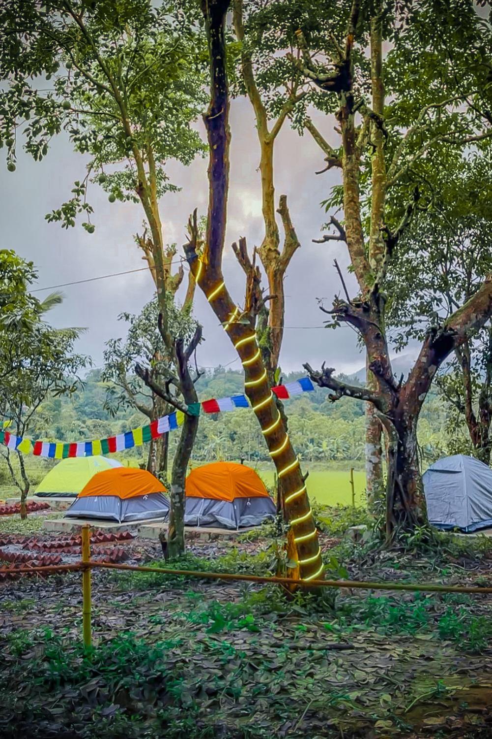 Tausco & - Coorg Campsite