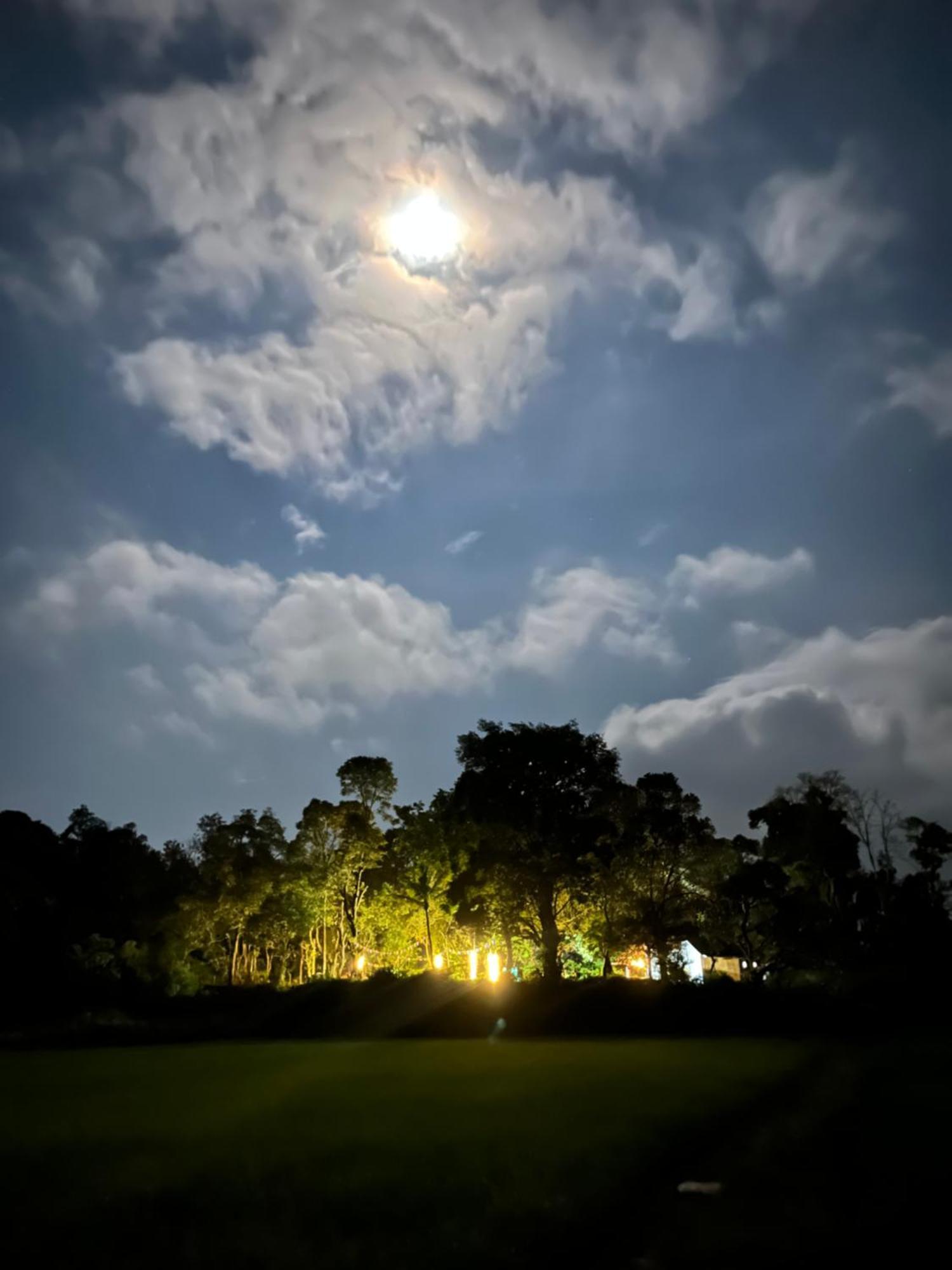कैम्पिंग की जगह Tausco & - Coorg Madikeri